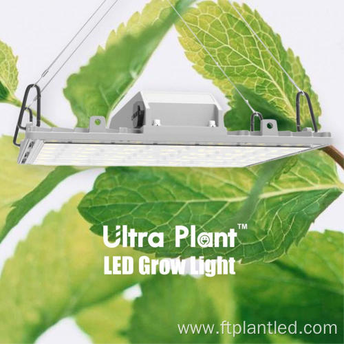 730nm LED Indoor All Far Red Plant Light